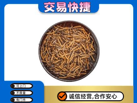 红河州开远市高价回收散虫草